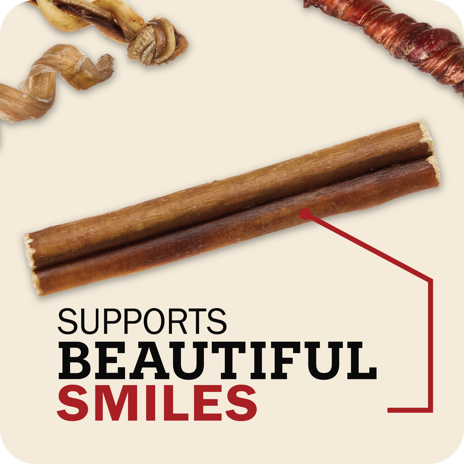 An image with Bully Stick in the center and different Bully chews in the background which reads, 'Supports beautiful smiles.'