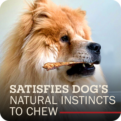 A fluffy golden dog in profile holds a chew in its mouth against a soft gray background, with large overlaid text reading 'SATISFIES DOG'S NATURAL INSTINCTS TO CHEW' and a small red underline.