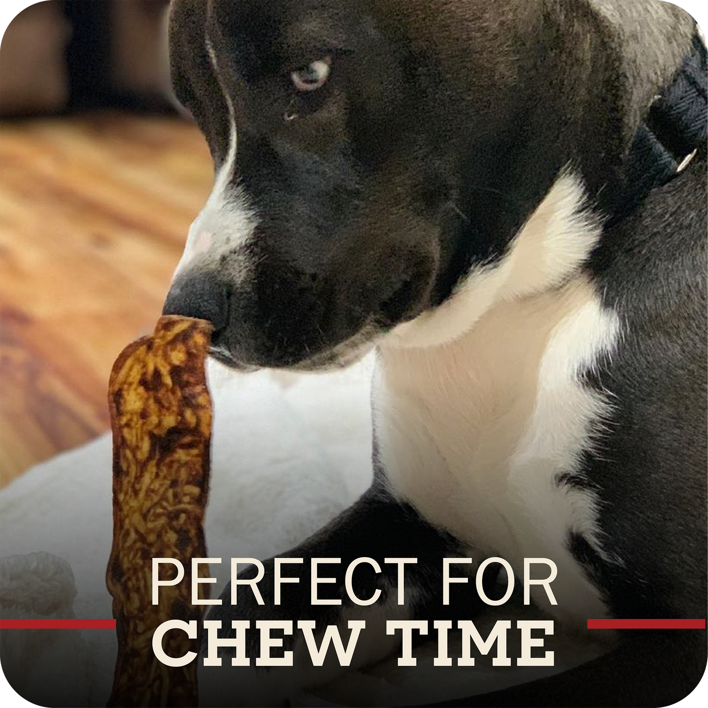 A close-up of a black and white dog chewing on a long, textured brown chew toy, with the text 'PERFECT FOR CHEW TIME' overlaid at the bottom.