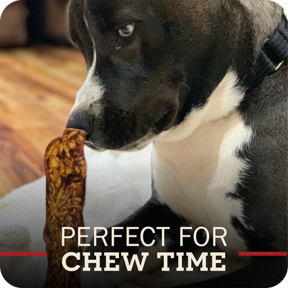 A close-up of a black and white dog chewing on a long, textured brown chew toy, with the text 'PERFECT FOR CHEW TIME' overlaid at the bottom.