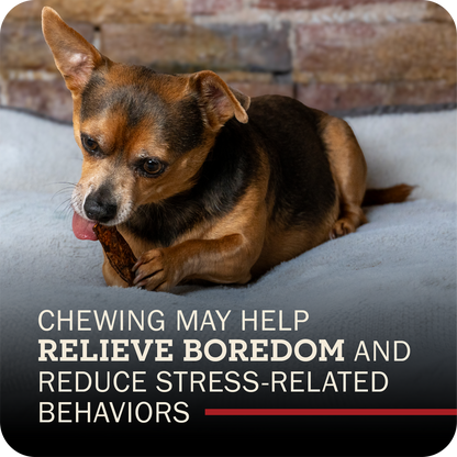 A small brown and black dog lying on a light gray blanket in front of a brick wall, chewing a Redbarn Bully Slice Treat. Text at the bottom reads, 'Chewing MAY HELP RELIEVE BOREDOM AND REDUCE STRESS-RELATED BEHAVORS'.