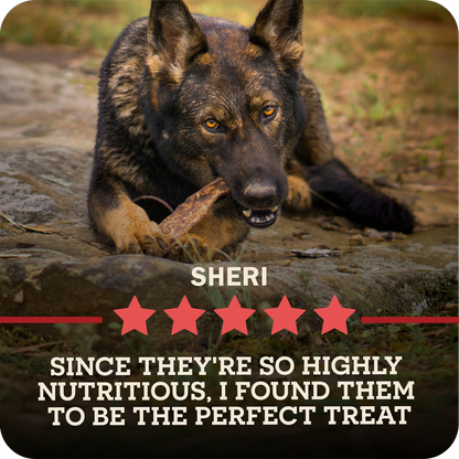 A German Shepherd dog named Sheri is shown outdoors on rocks, chewing on a Redbarn Bully Slice Treat. The image includes text overlays reading 'SHERI' and 'SINCE THEY'RE SO HIGHLY NUTRITIOUS, I FOUND THEM TO BE THE PERFECT TREAT' with five red stars.