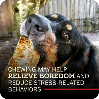 A close-up photo of a black and tan dog chewing on a Redbarn Collagen Slices chew outdoors, with overlaid text reading 'CHewing MAY HELP RELIEVE BOREDOM AND REDUCE STRESS-RELATED BEHAVORS'.