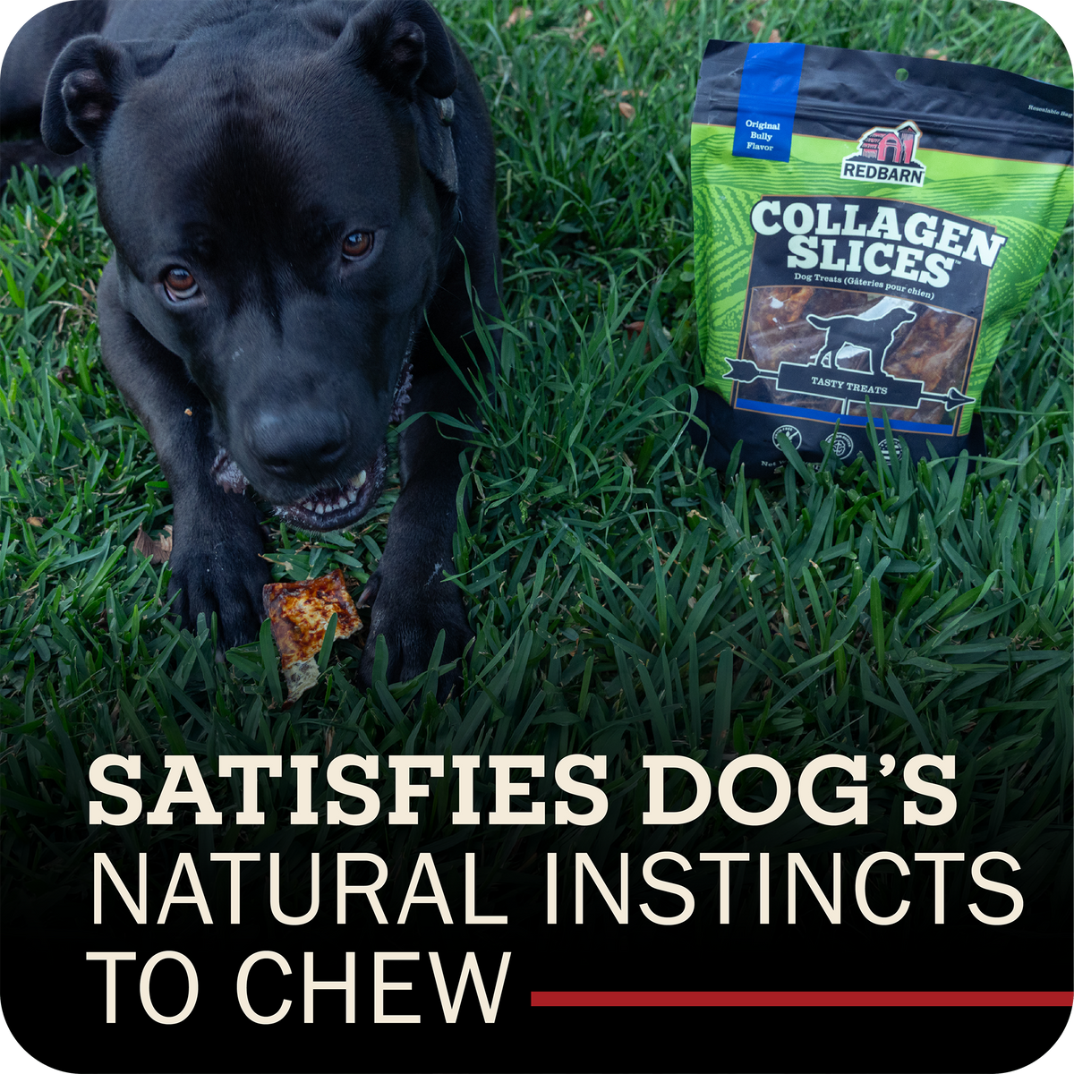 A black dog chewing a small treat in green grass next to a bag of Redbarn Collagen Slices dog treats, with the text 'SATISFIES DOG'S NATURAL INSTINCTS TO CHEW' at the bottom.