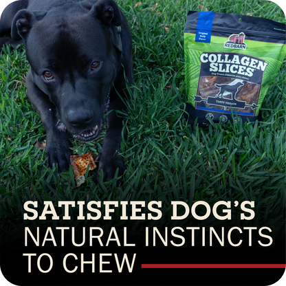 A black dog chewing a small treat in green grass next to a bag of Redbarn Collagen Slices dog treats, with the text 'SATISFIES DOG'S NATURAL INSTINCTS TO CHEW' at the bottom.
