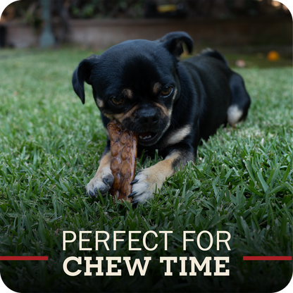 A small black and tan dog lying on green grass while chewing on a Redbarn Collagen Slices. Text at the bottom reads 'PERFECT FOR CHEW TIME'.