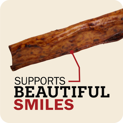 A close-up of a Redbarn Collagen Slices  shown diagonally on a light beige background, with the text 'SUPPORTS BEAUTIFUL SMILES' and a red arrow pointing to the product.