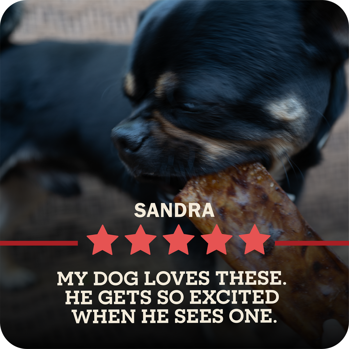 A black and tan dog chewing on a Redbarn Collagen Slices  in a close-up photo, with overlaid text reading 'SANDRA' and 'MY DOG LOVES THESE. HE GETS SO EXCITED WHEN HE SEES ONE.