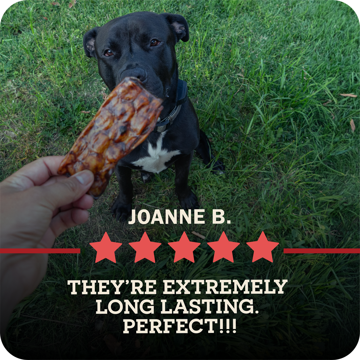 A black dog sitting on green grass while a human hand holds a Redbarn Bully Slices, with text overlay reads 'JOANNE B giving 5 stars.
