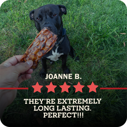 A black dog sitting on green grass while a human hand holds a Redbarn Bully Slices, with text overlay reads 'JOANNE B giving 5 stars.