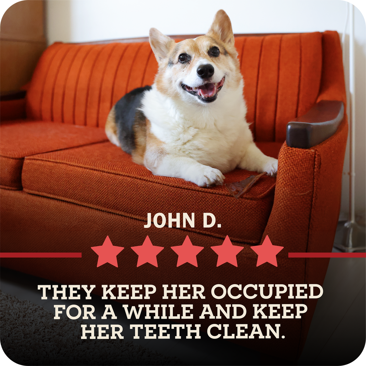 Redbarn Collagen Slices. A corgi dog sits on an orange-brown couch in a real indoor setting, with overlaid text reading 'JOHN D.' and 'THEY KEEP HER OCCUPIED FOR A WHILE AND KEEP HER TEETH CLEAN.