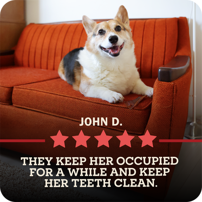 Redbarn Collagen Slices. A corgi dog sits on an orange-brown couch in a real indoor setting, with overlaid text reading 'JOHN D.' and 'THEY KEEP HER OCCUPIED FOR A WHILE AND KEEP HER TEETH CLEAN.