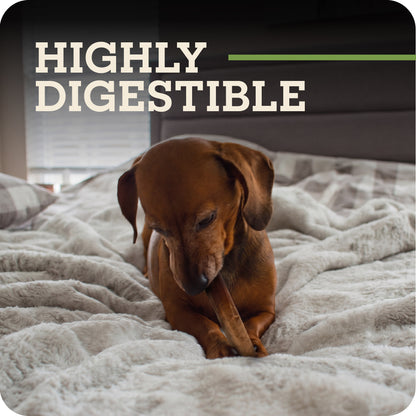 A brown dachshund lying on a fluffy light gray blanket in a bedroom, chewing a Redbarn Dur-A-Bull. Large text at the top reads 'HIGHLY DIGESTIBLE' with a green line accent.