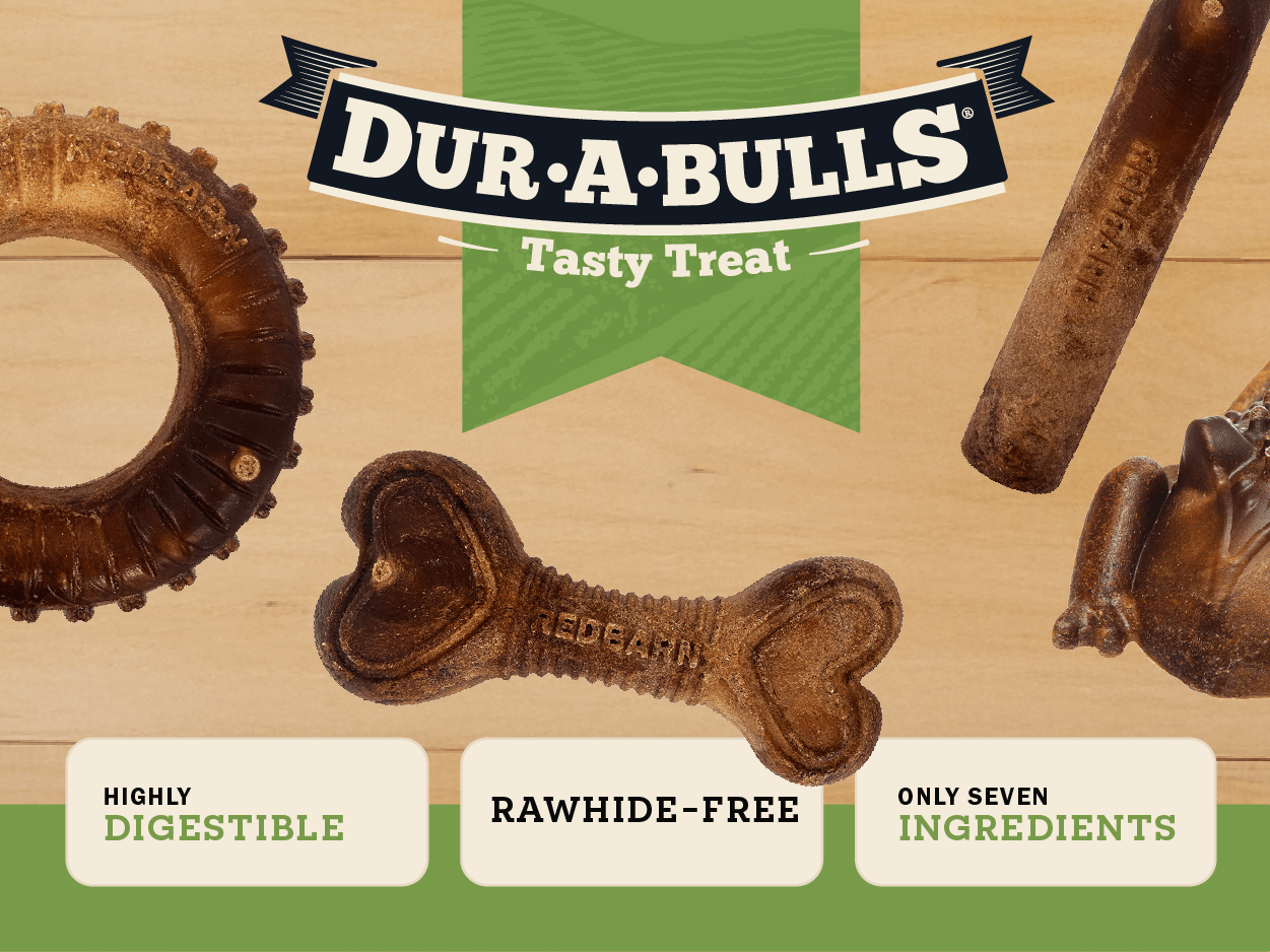 Dur-A-Bulls Tasty Treat dog chew toys arranged on a light wood background with a green ribbon graphic and product feature badges. Visible treats include a bone-shaped chew, a circular chew, and other textured dog treats.