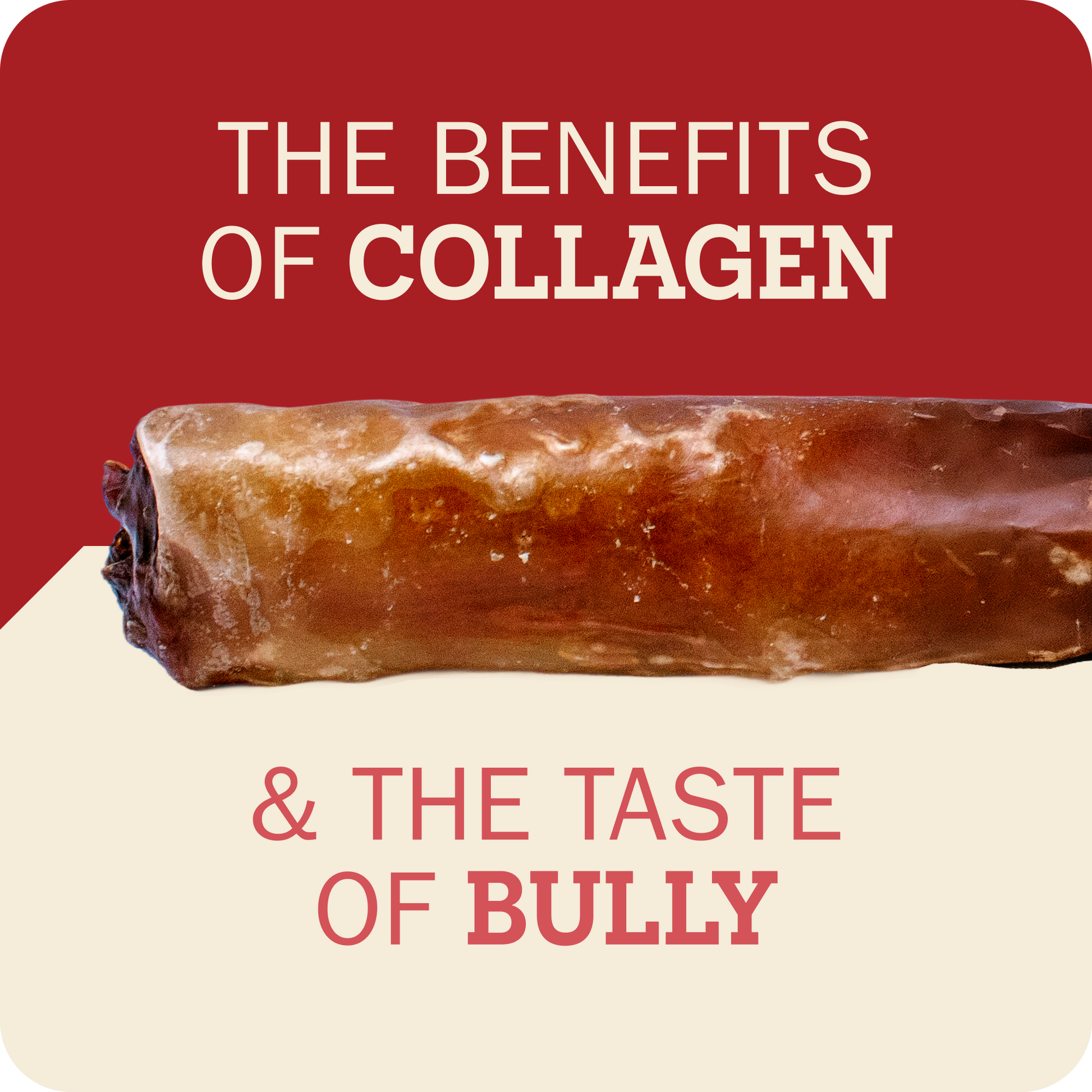 A promotional graphic featuring the Redbarn Monster Bully on a split red and cream background with text reading 'THE BENEFITS OF COLLAGEN' and '& THE TASTE OF BULLY'.