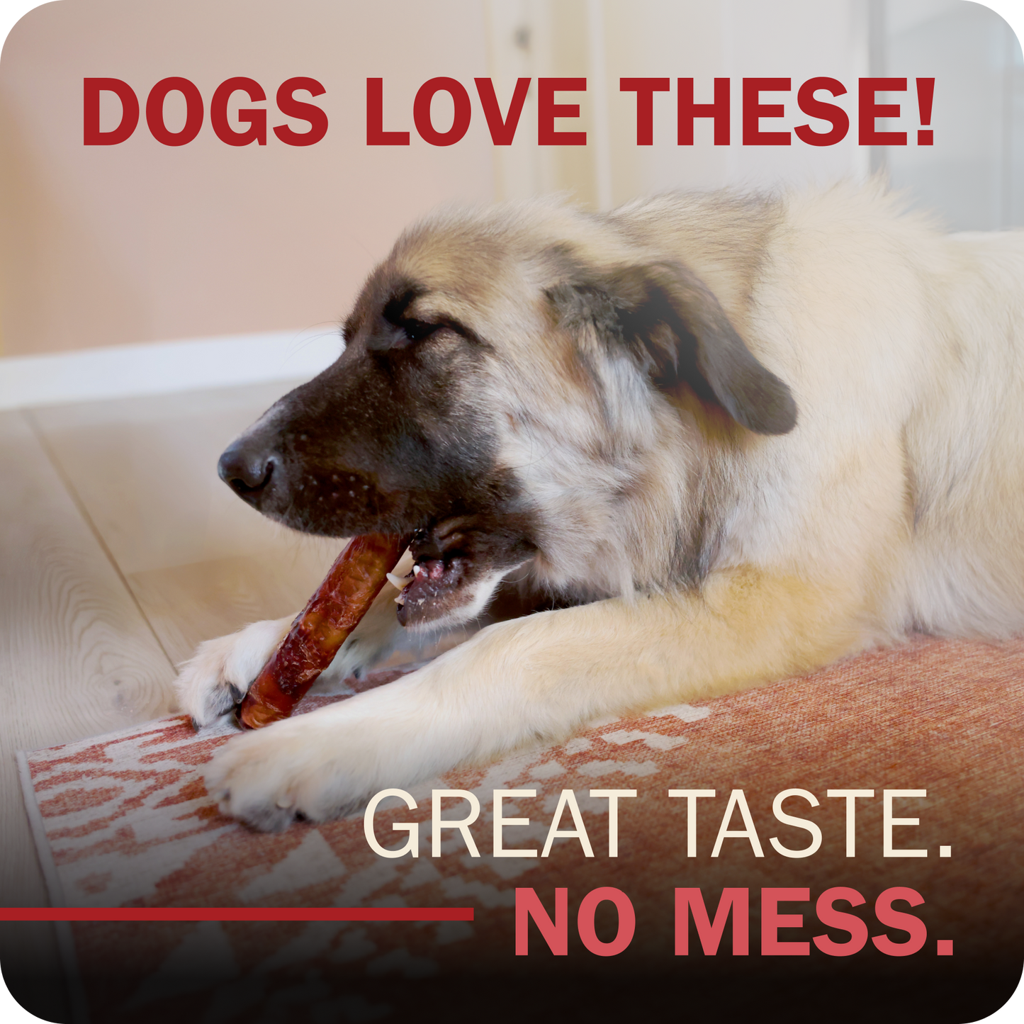 A fluffy cream-colored dog lying on a patterned rug and chewing a Redbarn Monster Bully , with overlaid text reading 'DOGS LOVE THESE!' and 'GREAT TASTE. NO MESS.