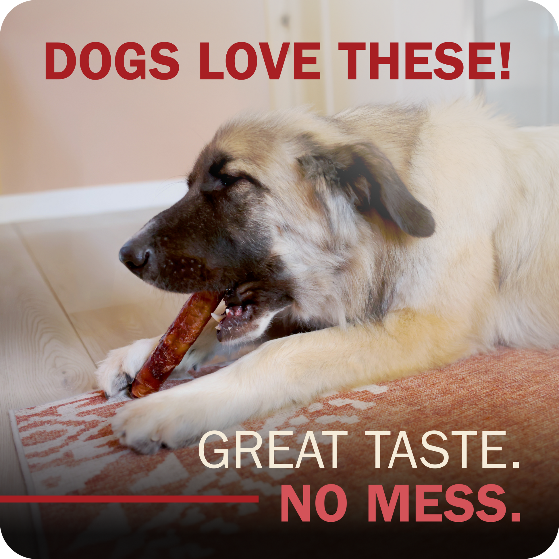 A fluffy cream-colored dog lying on a patterned rug and chewing a Redbarn Monster Bully , with overlaid text reading 'DOGS LOVE THESE!' and 'GREAT TASTE. NO MESS.