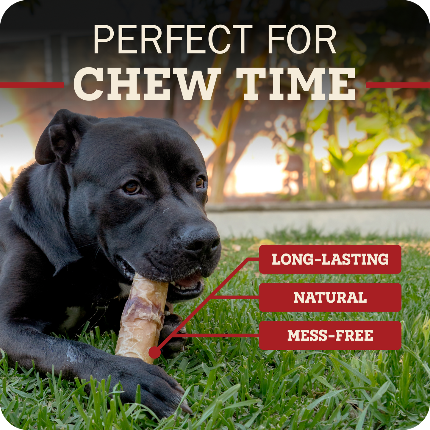 A black dog lying on grass outdoors while chewing a Redbarn Monster Bully  chew, with overlaid text reading 'PERFECT FOR CHEW TIME' and callout labels saying 'LONG-LASTING', 'NATURAL', and 'MESS-FREE'.