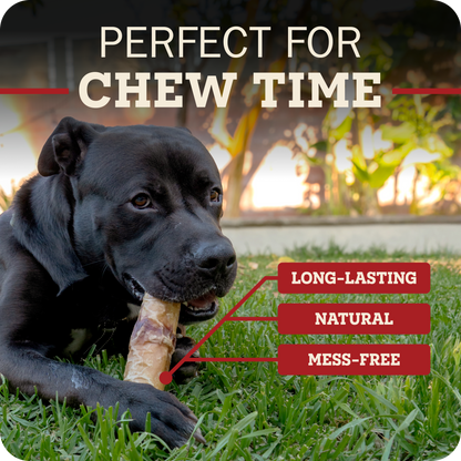 A black dog lying on grass outdoors while chewing a Redbarn Monster Bully  chew, with overlaid text reading 'PERFECT FOR CHEW TIME' and callout labels saying 'LONG-LASTING', 'NATURAL', and 'MESS-FREE'.