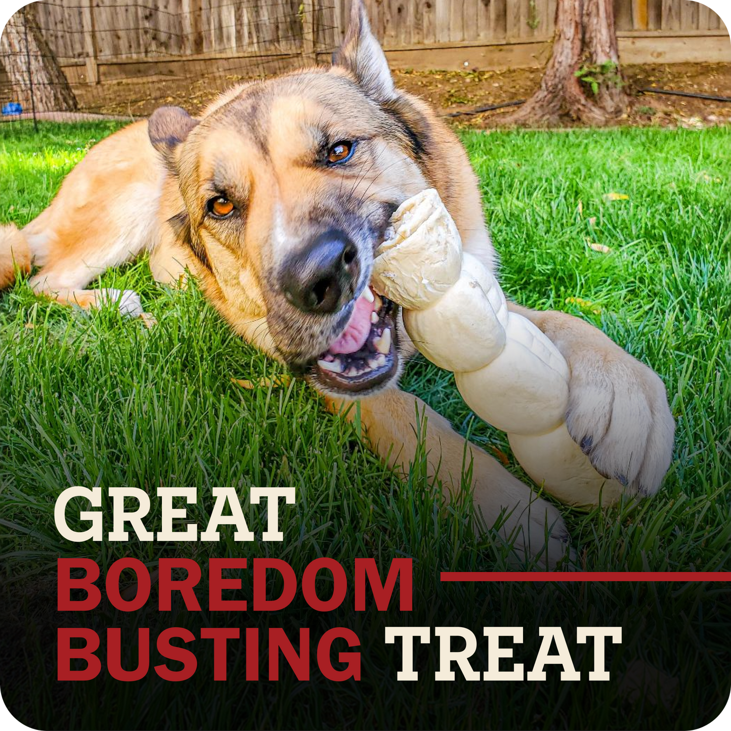 A German Shepherd dog lying on green grass outdoors, chewing on a beef cheek roll dog treat. Large overlaid text at the bottom reads 'GREAT BOREDOM BUSTING TREAT'.