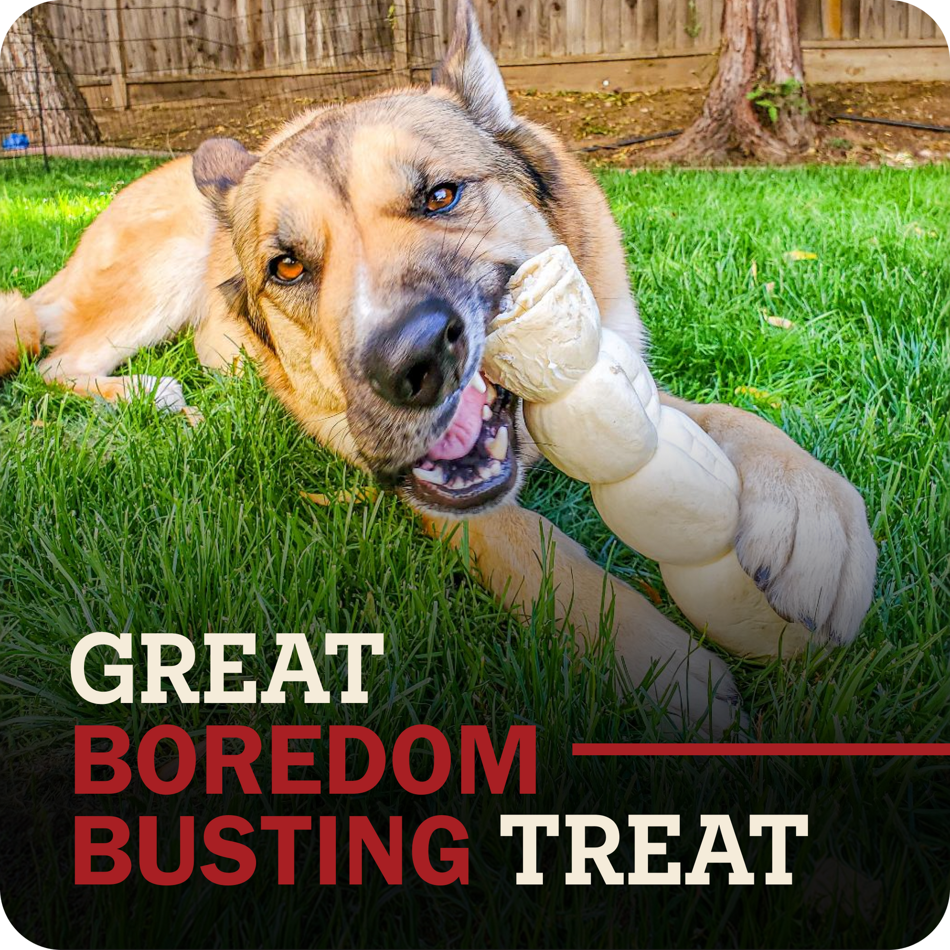 A German Shepherd dog lying on green grass outdoors, chewing on a beef cheek roll dog treat. Large overlaid text at the bottom reads 'GREAT BOREDOM BUSTING TREAT'.