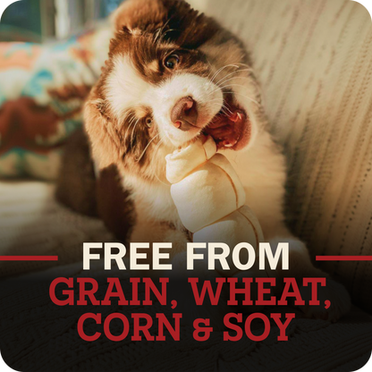 A brown and white dog is shown chewing on a beef cheek treat while sitting on a couch. The image features a dark overlay at the bottom with red and white text reading 'FREE FROM GRAIN, WHEAT, CORN & SOY'.