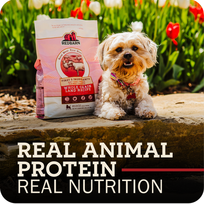 Dog with Redbarn pet food package in a garden setting