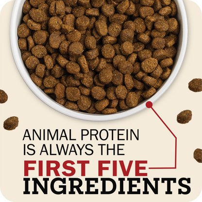 Dog food bowl filled with kibble on a beige background with text about animal protein ingredients.