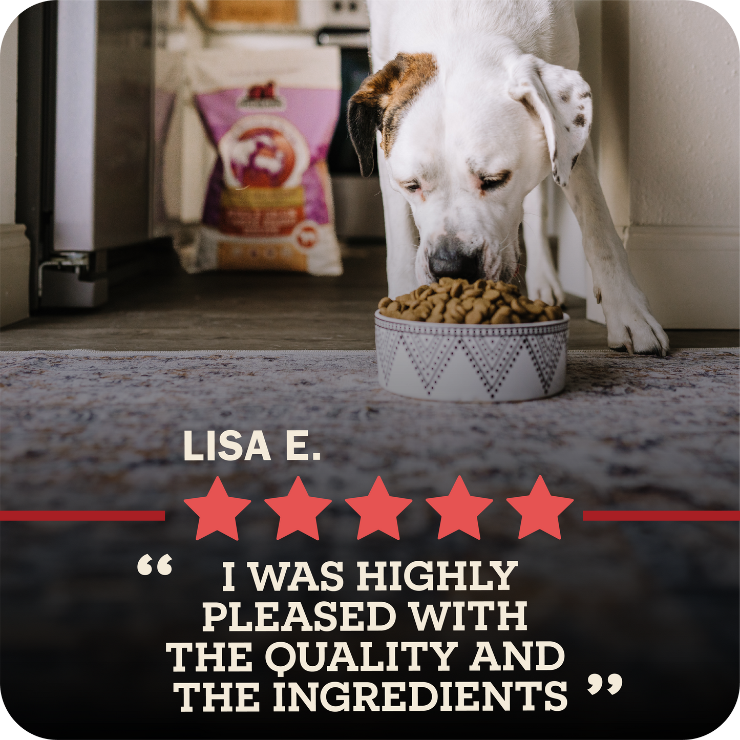 Dog eating redbarn kibble with a five-star rating and review text overlay.