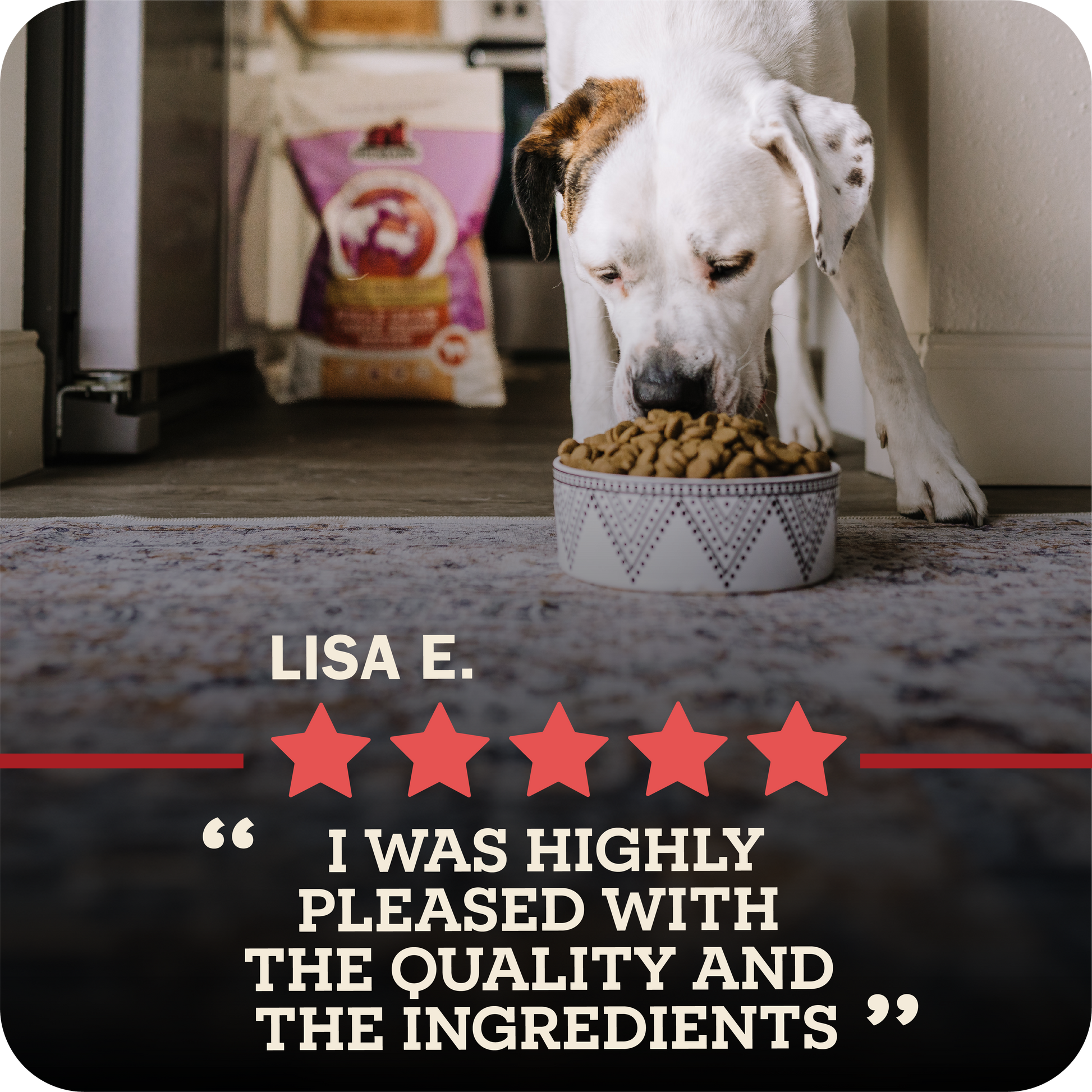 Dog eating redbarn kibble with a five-star rating and review text overlay.