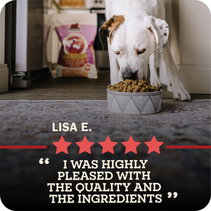 Dog eating redbarn kibble with a five-star rating and review text overlay.
