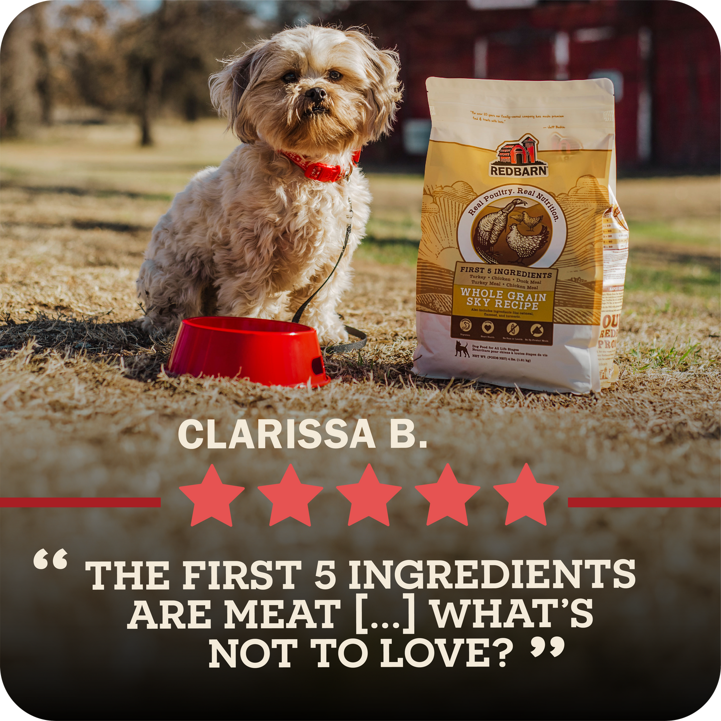 Dog sitting next to a bag of Redbarn dog food with a five-star rating and review text.