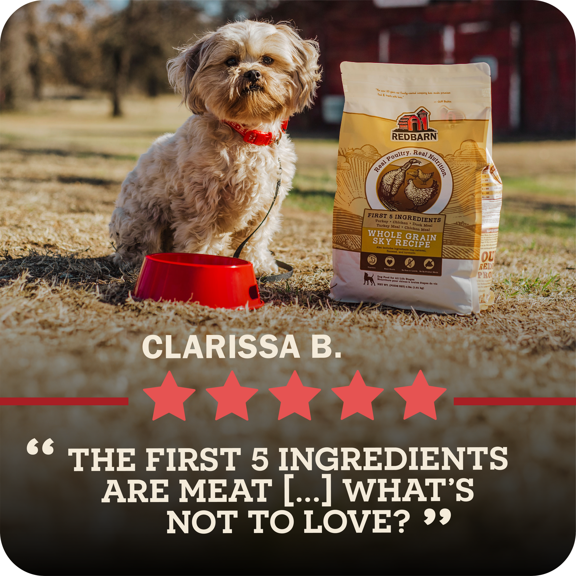 Dog sitting next to a bag of Redbarn dog food with a five-star rating and review text.