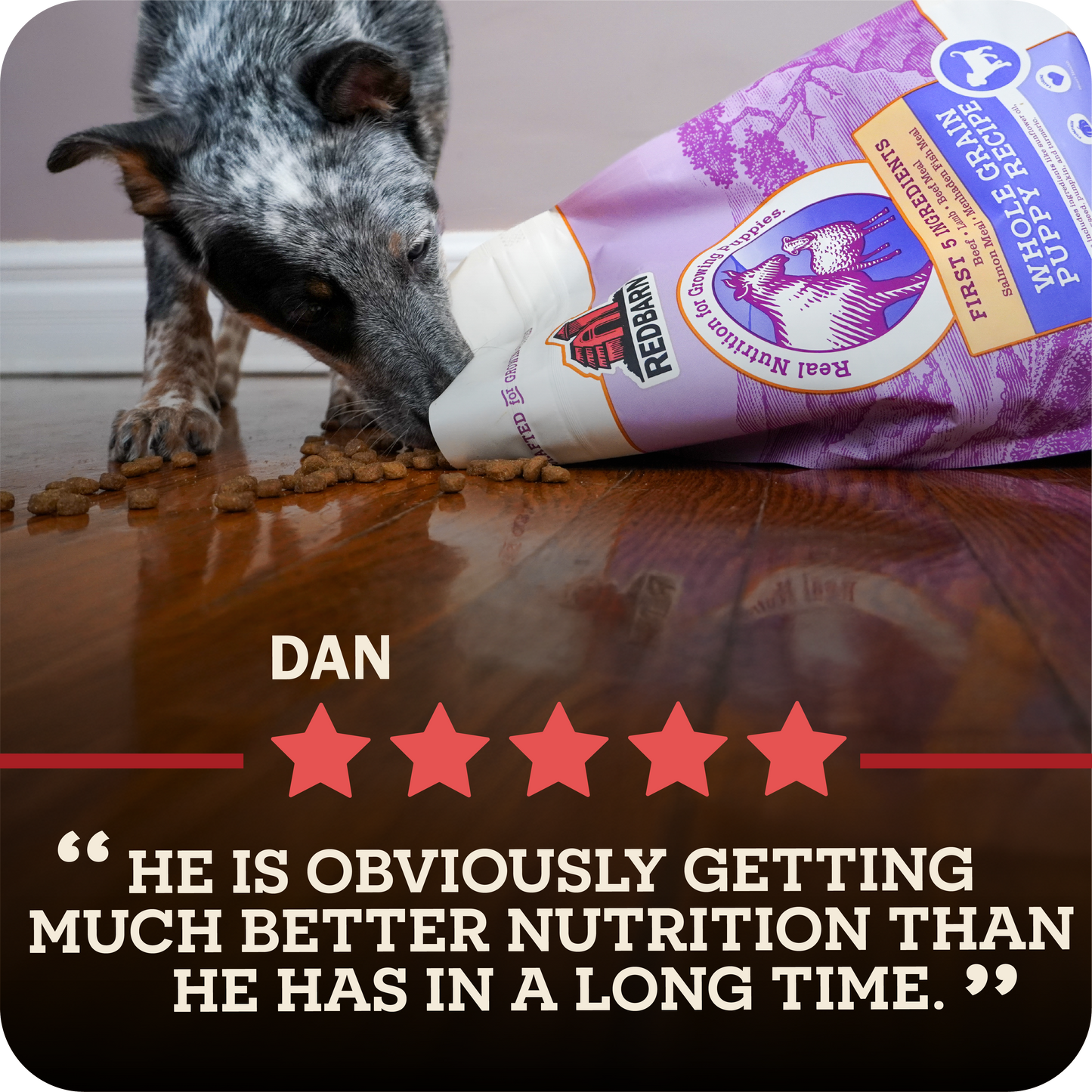 Dog eating from a bag of Redbarn puppy food with a five-star rating and review text.