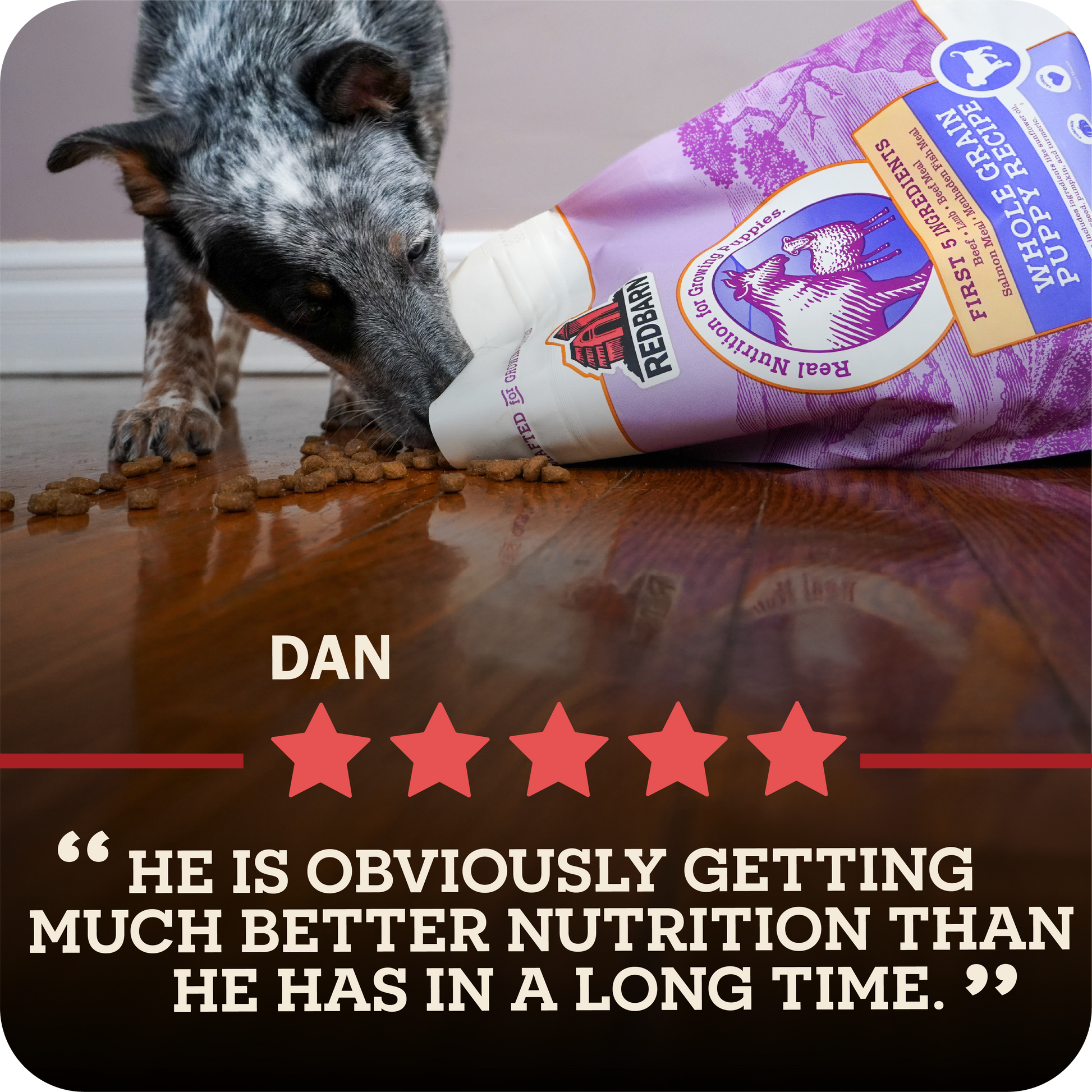 Dog eating from a bag of Redbarn puppy food with a five-star rating and review text.