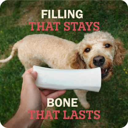Filled Bone Beef Flavor