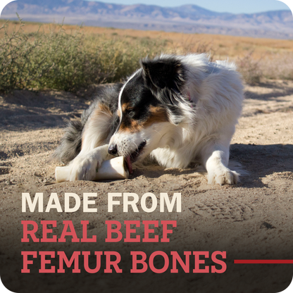 Filled Bone Beef Flavor