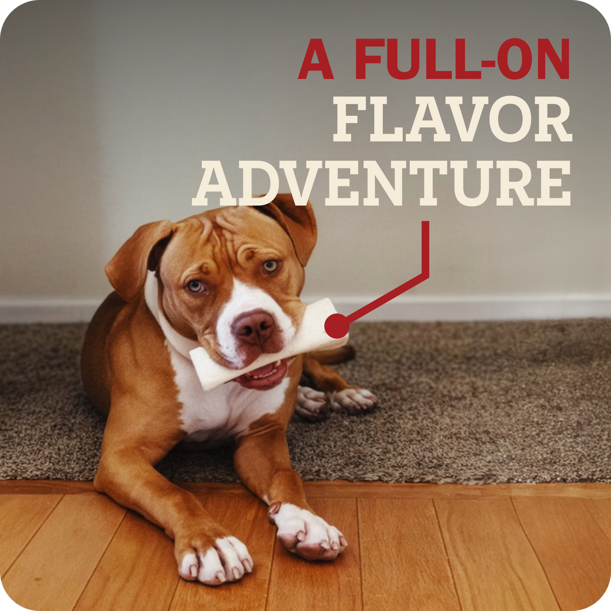 Filled Bone Beef Flavor