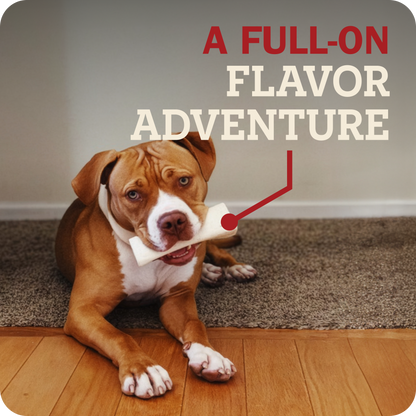 Filled Bone Beef Flavor