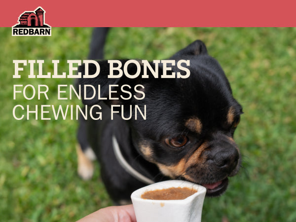 Filled Bone Beef Flavor