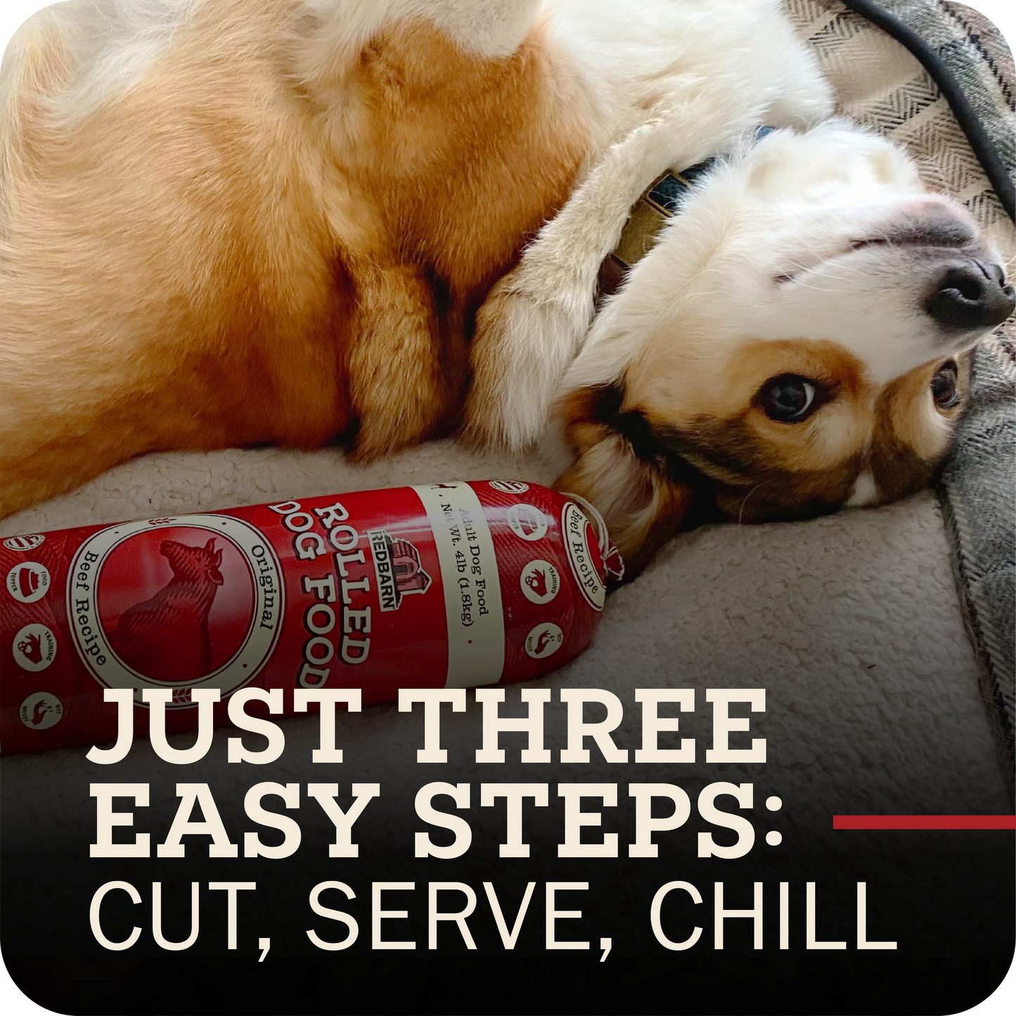 Dog lying next to rolled dog food with promotional text on a gray surface