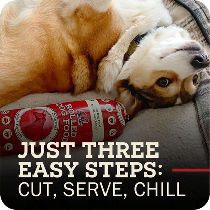 Dog lying next to rolled dog food with promotional text on a gray surface