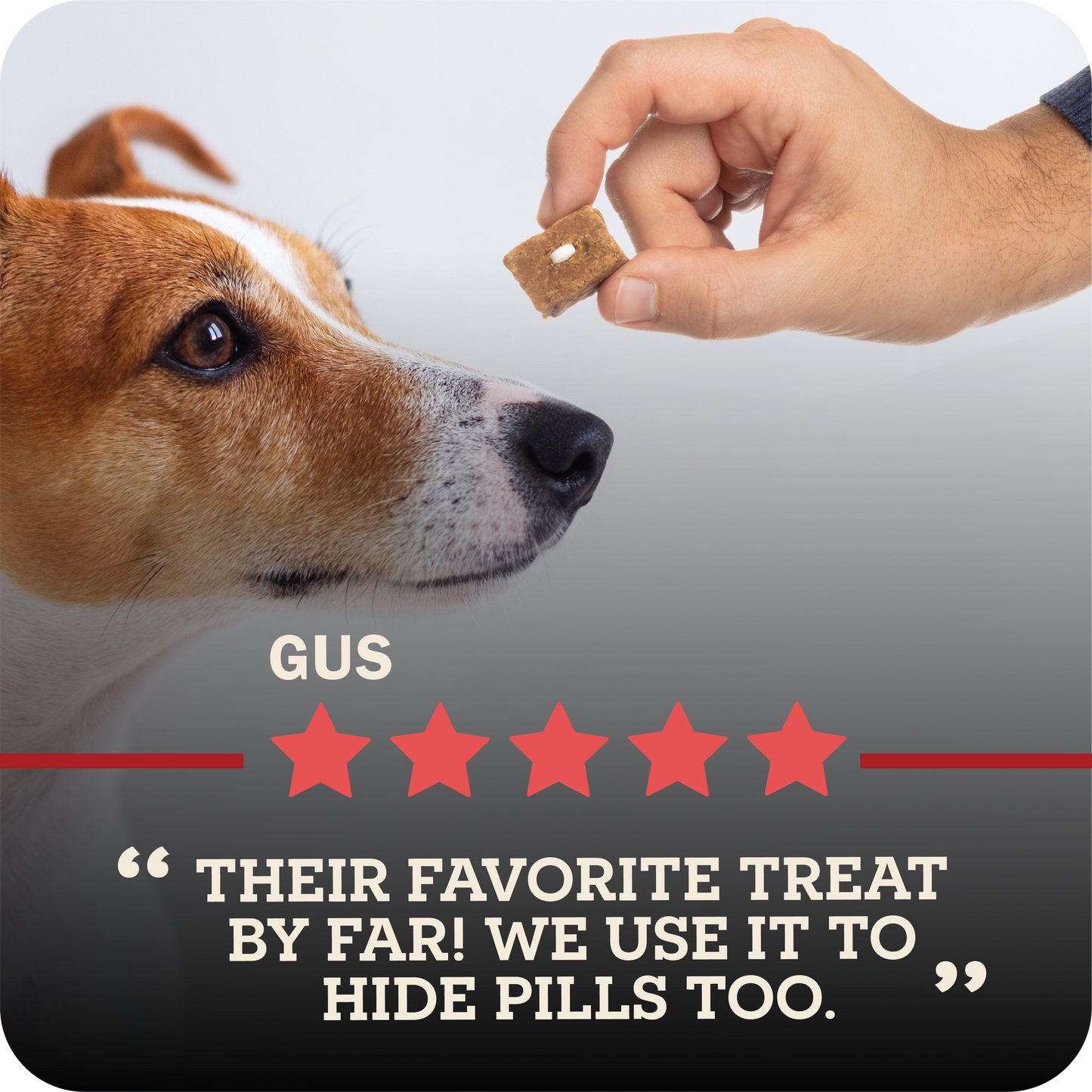 Dog looking at a treat held by a hand with a five-star rating and text below.