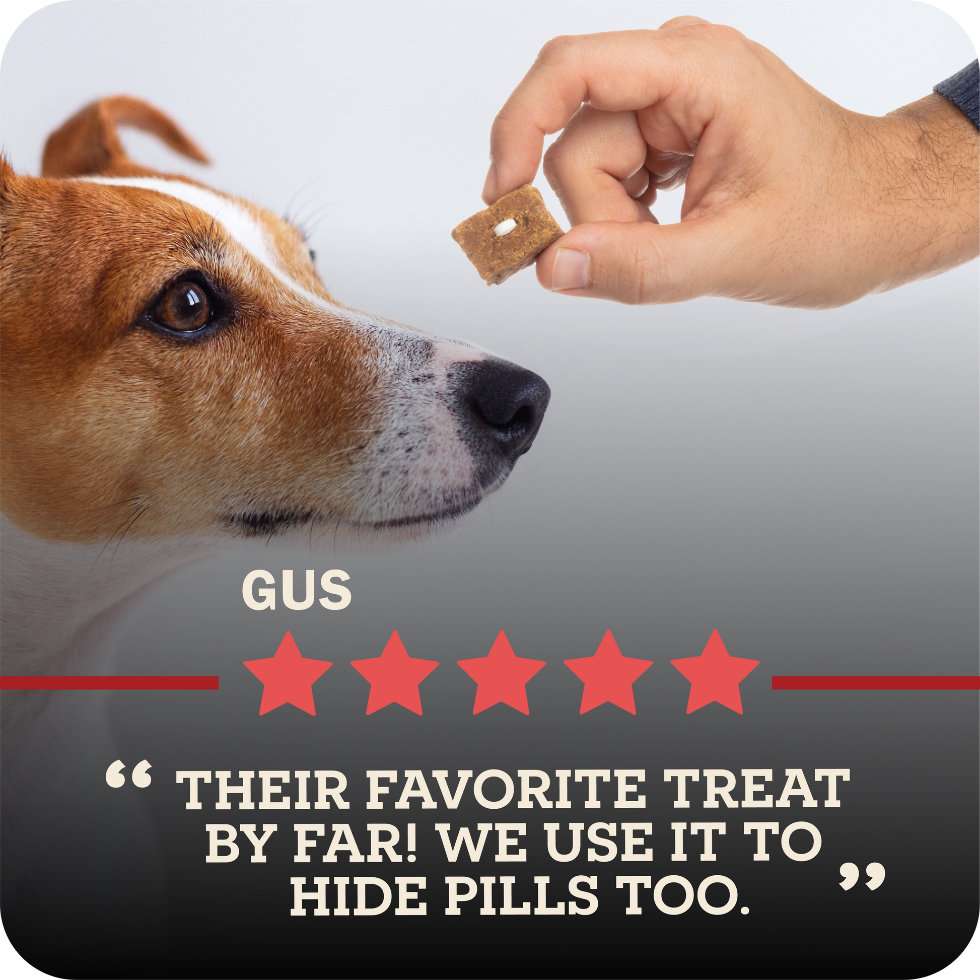 Dog looking at a treat held by a hand with a five-star rating and text below.