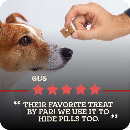Dog looking at a treat held by a hand with a five-star rating and text below.