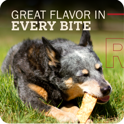 Dog chewing on a bully slice treat with text 'GREAT FLAVOR IN EVERY BITE' in the background.