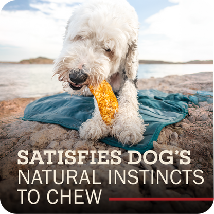 Dog chewing on a bully slice by a body of water with text 'Satisfies dog's natural instincts to chew'.