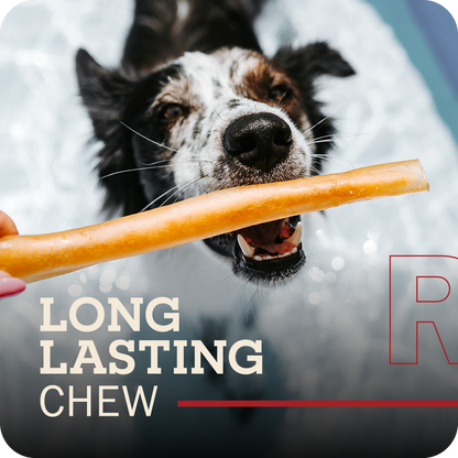 An image of a person's hand holding a Redbarn Collagen stick in front of a dog who is excited to get it as a chew. Title with a white font which reads, 'Long Lasting Chew'
