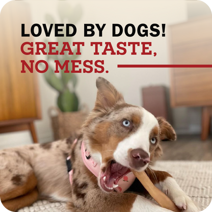 A happy dog chewing on a Redbarn Collagen stick with the title, 'Loved by dogs! Great taste, no mess.'