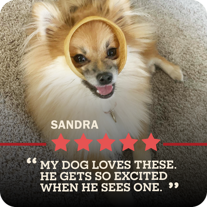An image of a small breed dog with a Collagen Ring in their mouth in a playful manner. A five start review from Sandra that says, "My dog loves these. He gets so excited when he sees one."